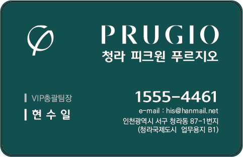 현수일총괄@